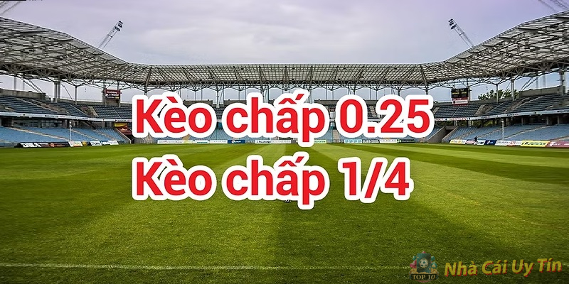 Kèo tài xỉu 2.5 3