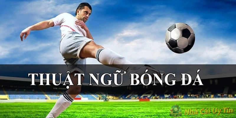 Thuật ngữ cá độ bóng đá Thuật ngữ cá độ bóng đá